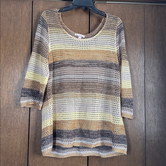 Tops - CJ Banks Striped Knit Sweater in Earth Tones plus 2x